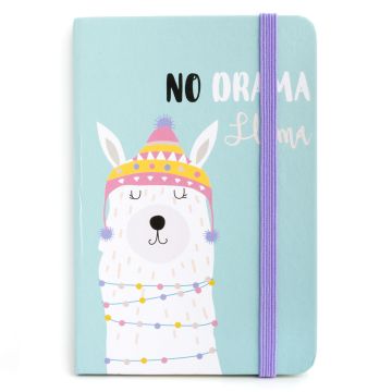 730062 - Notebook I saw this - No Drama Llama