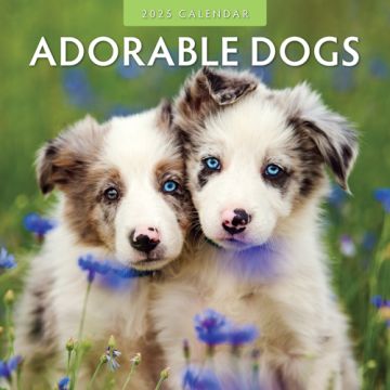 Kalender 2025 - Adorable Dogs