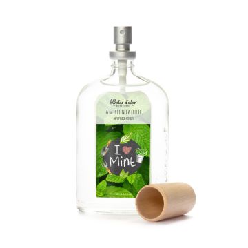 Boles d'olor Roomspray - I love Mint - 100 ml