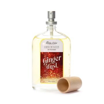 TESTER Boles d'olor Roomspray -  Ginger Dust - 100 ml