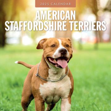 Kalender 2025 - American Staffordshire Terriers 