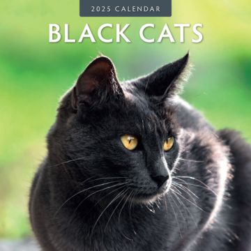 Kalender 2025 - Black Cats 
