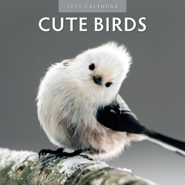 Kalender 2025 - Cute Birds 