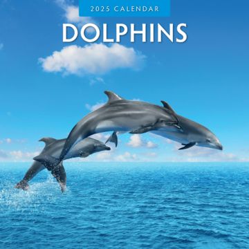 Kalender 2025 - Dolphins