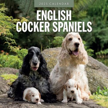 Kalender 2025 - English Cocker Spaniels 