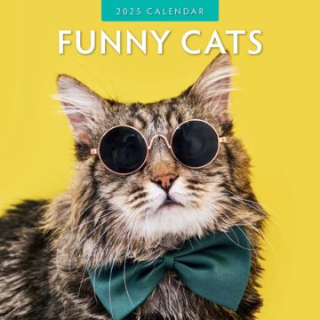 Kalender 2025 - Funny Cats 