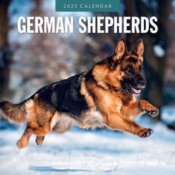 Kalender 2025 - German Shepherds 