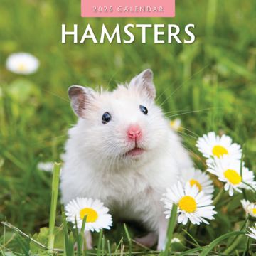 Kalender 2025 - Hamsters 
