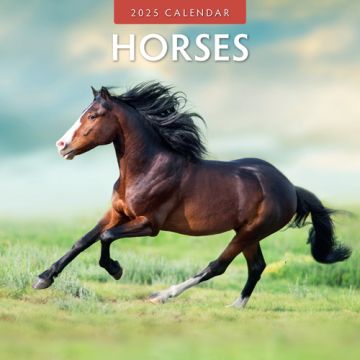 Kalender 2025 - Horses 
