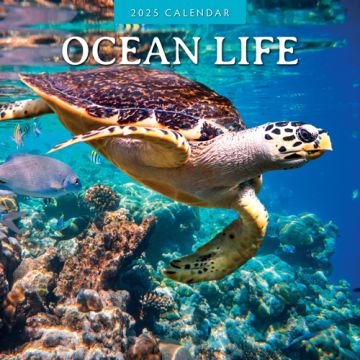 Kalender 2025 Ocean Life