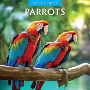 Kalender 2025 - Parrots 