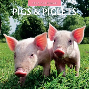 Kalender 2025 - Pigs & Piglets 