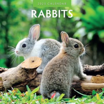 Kalender 2025 - Rabbits 