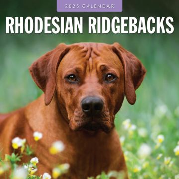 Kalender 2025 Rhodesian Ridgeback 