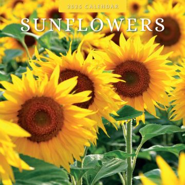 Kalender 2025 Sunflowers