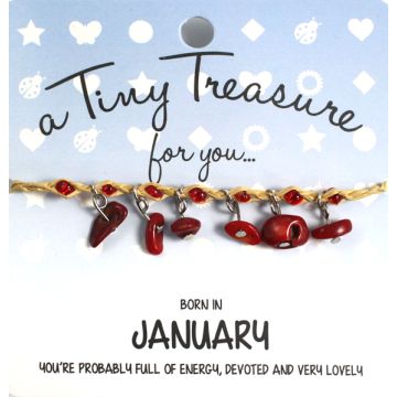 TT1 - Tiny Treasure armband Januari