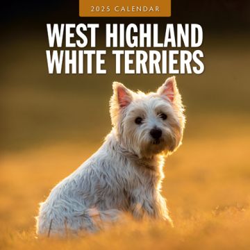 Kalender 2025 West Highland White Terriers