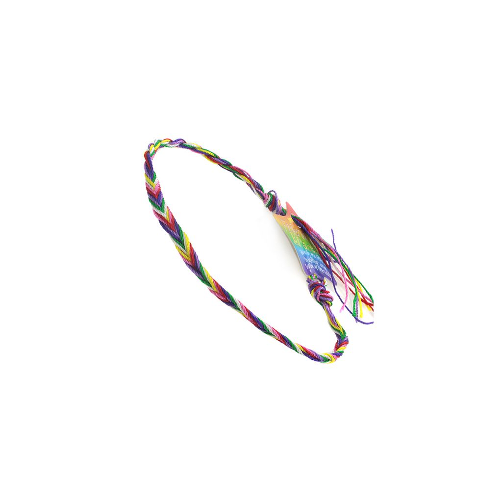 660040 - WB Friendship Bracelet - D10 Multi colour